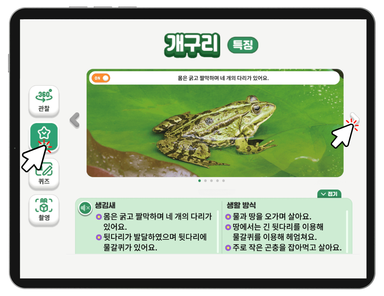 피부 호흡 - 오늘의AI위키, AI가 만드는 백과사전, image size:1300x1000